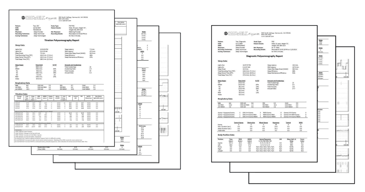 보고서 템플릿 1